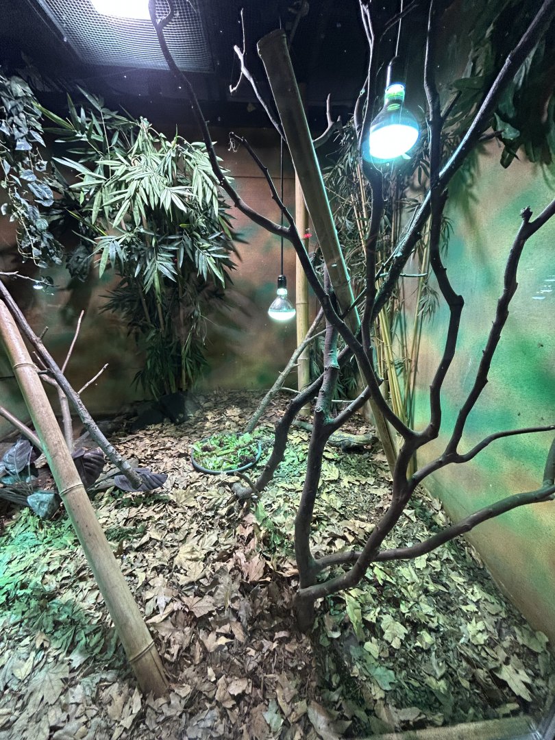 One of the tortoise exhibits