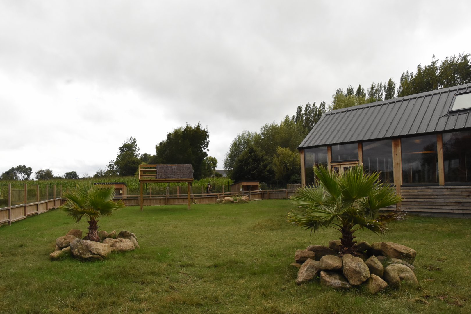 One of the tortoise lawns