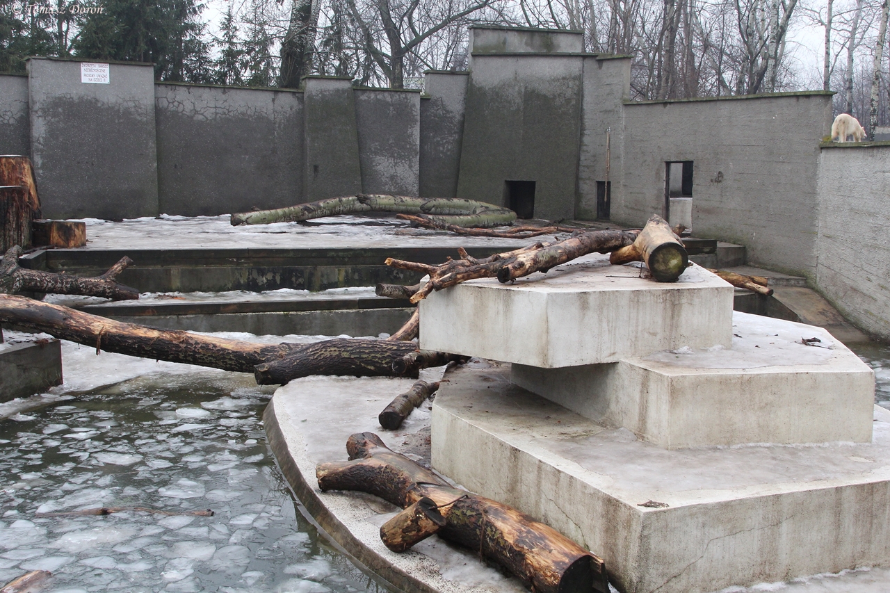 One of the two enclosures for polar bears