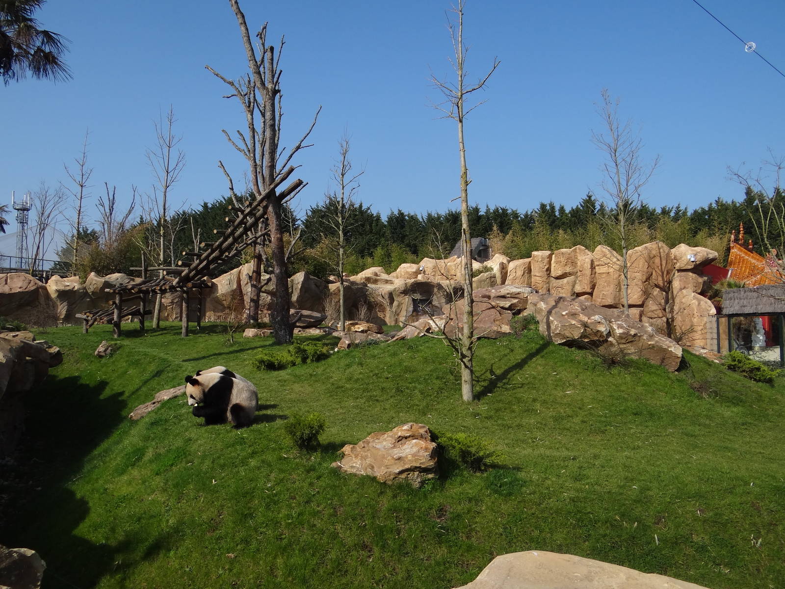 One of the two giant pandas exhibit