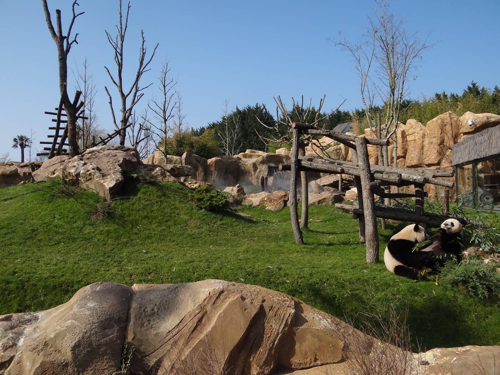One of the two giant pandas exhibit