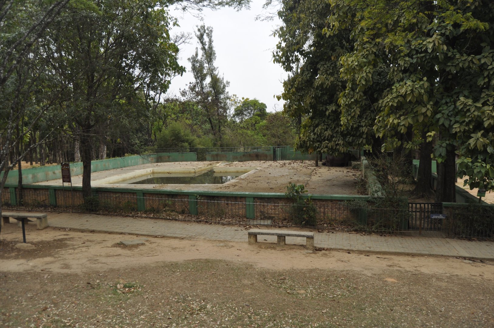 One of the two hippopotamus enclosure