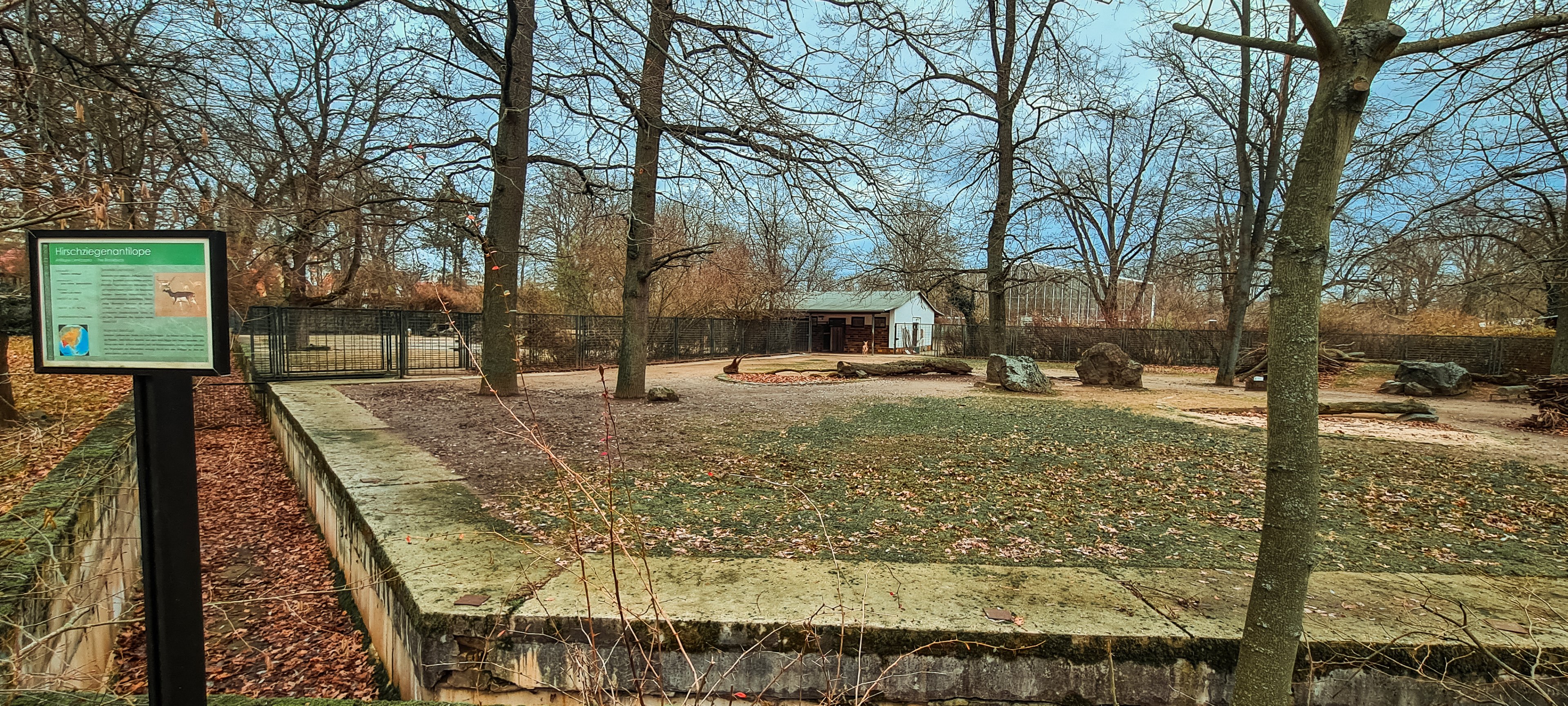 One of the typical herbivore yards