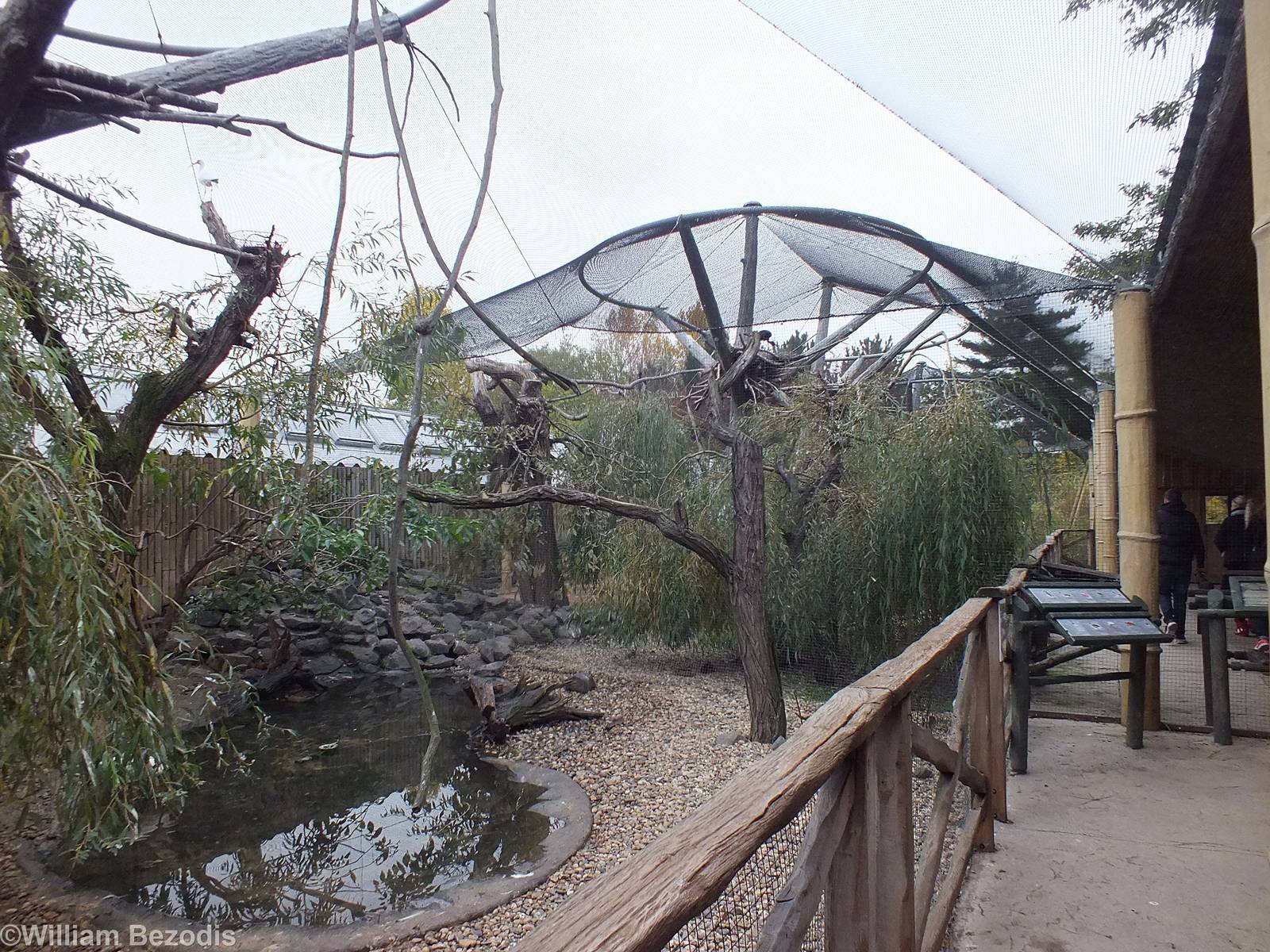 One of the Wetland Bird Aviaries