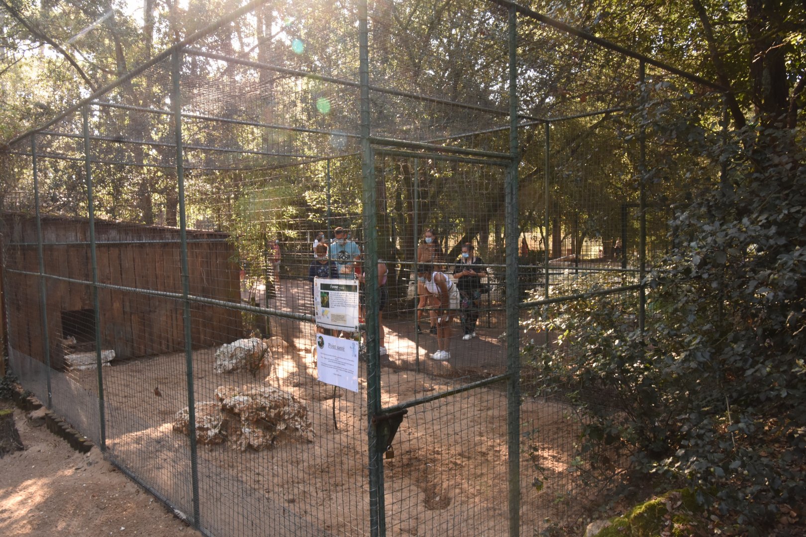 one of thee Fennec Fox cages