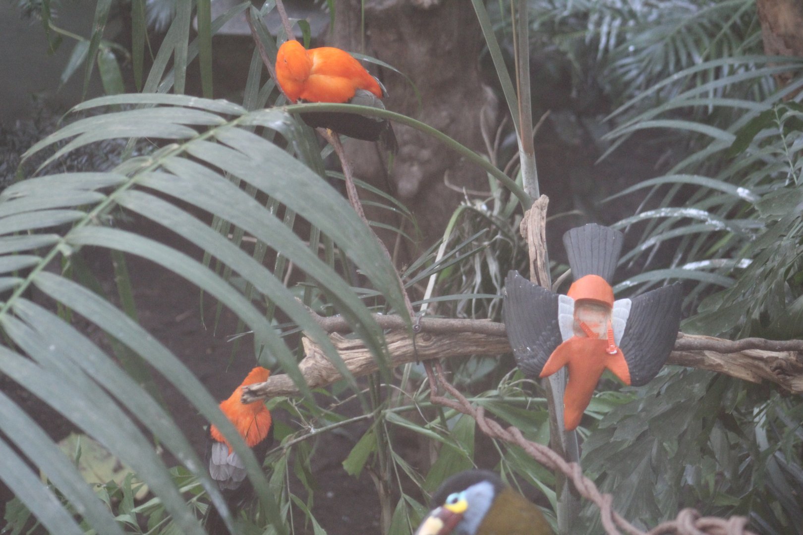 One of These Things is Not Like the Other