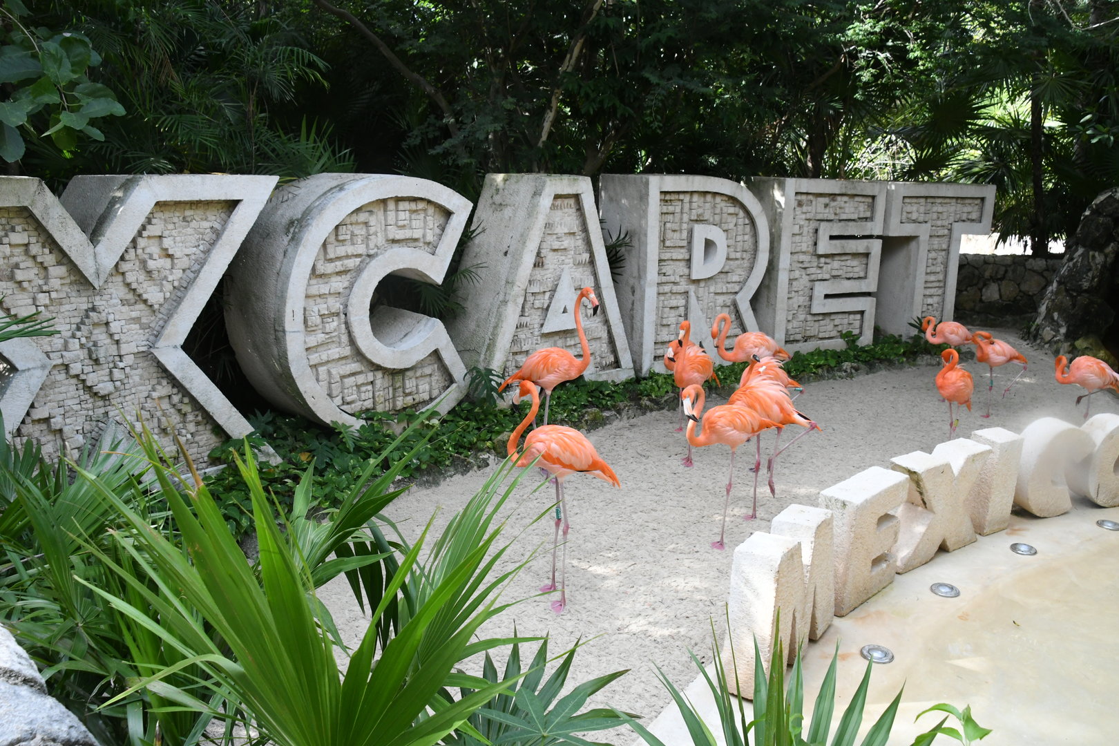 One of Three Flamingo Exhibits