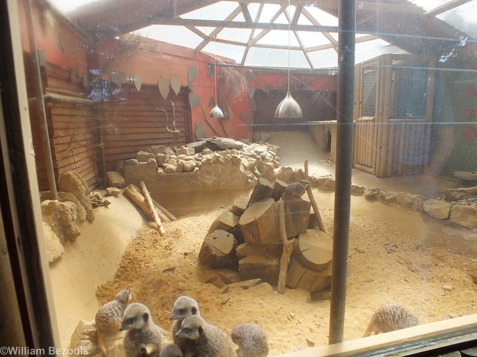 One of Three Meerkat Enclosures - Soon to Become part of a Spectacled Caima