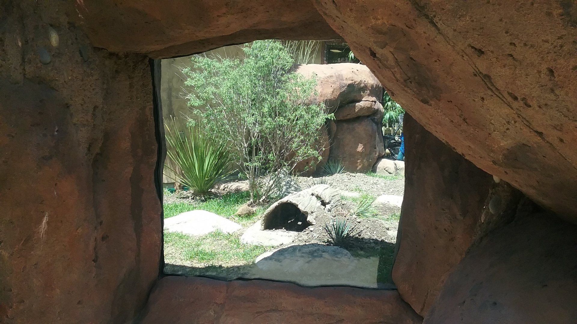 One of three meerkat viewing spots