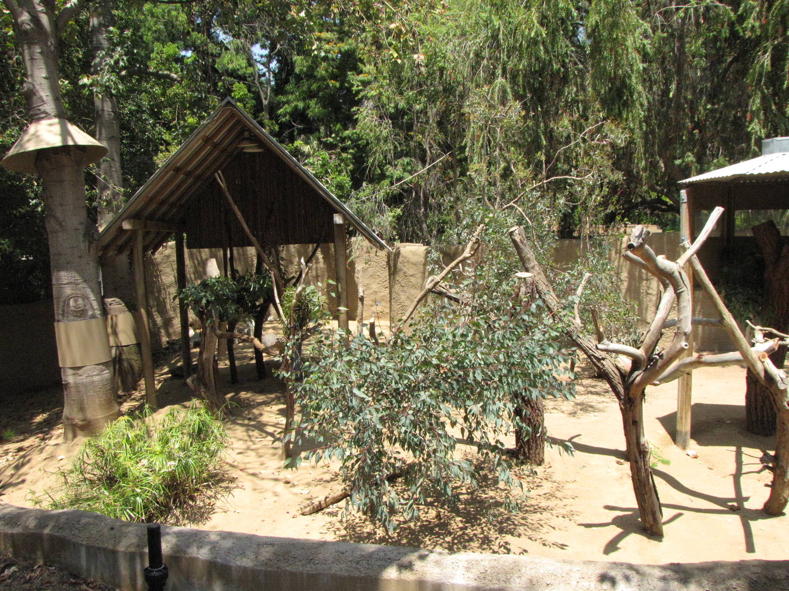 One of Two Australian Mixed Yards