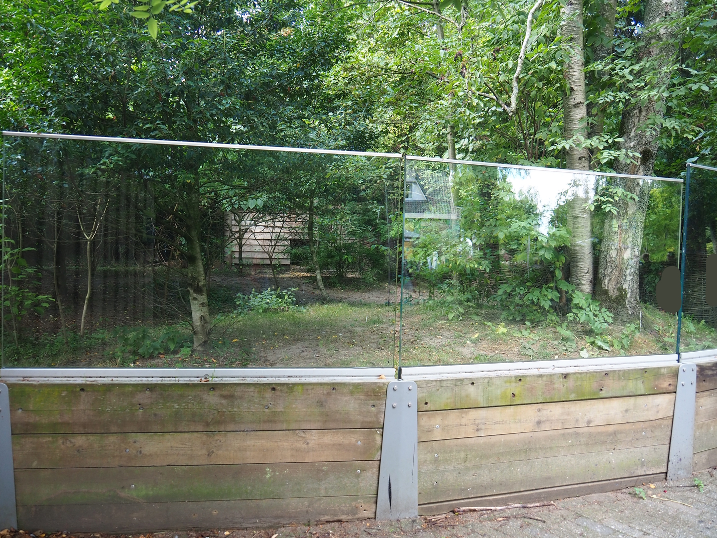 One of two double-wattled cassowary exhibits, 2022-08-28