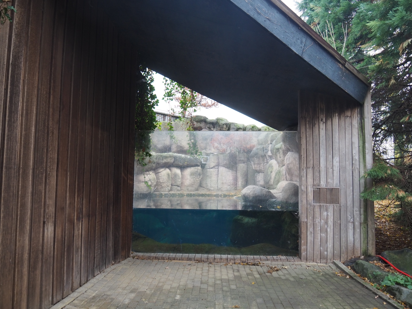 One of two former sea otter exhibits (Nov 10th, 2018)