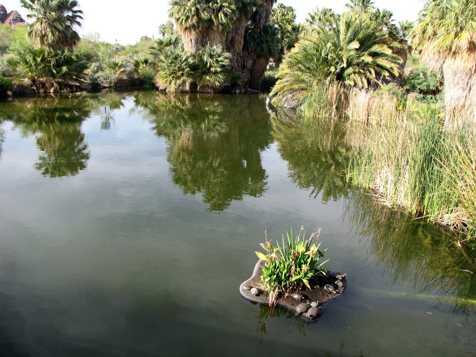 One of Two Large Lakes On Either Side of Entry Bridge