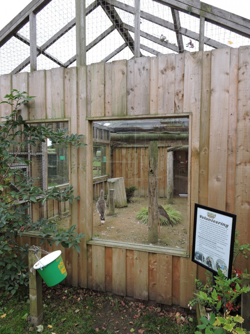 One of two seriema enclosures