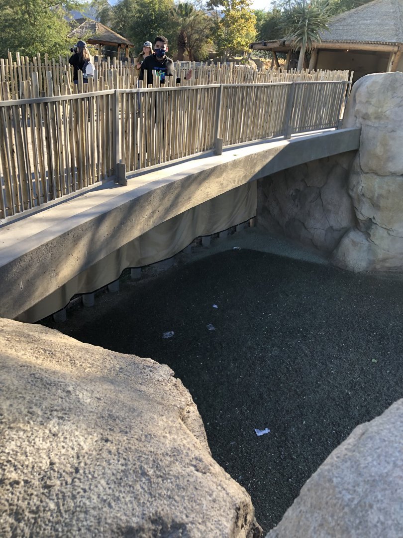 One of Two Times the Path goes over the Exhibit