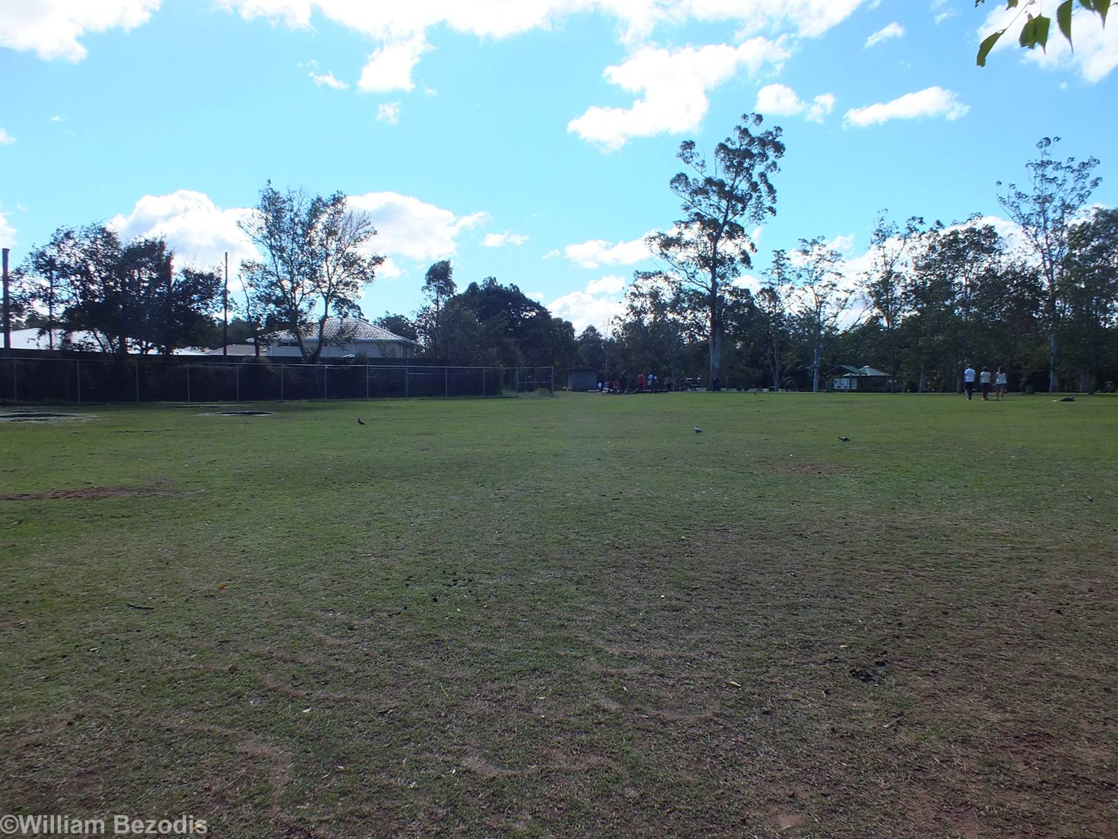 One of Two Walkthrough Kangaroo Enclosures