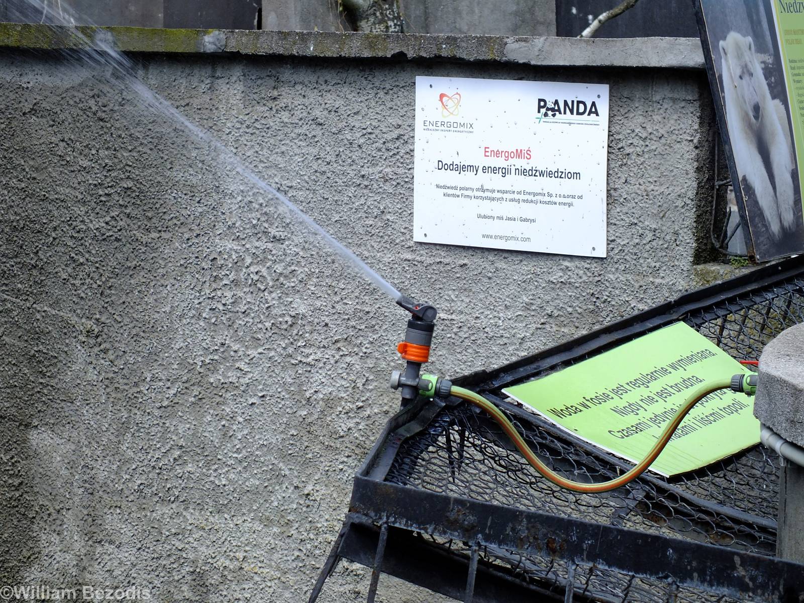 (one of) Water Spray to Keep the Polar Bears Cool