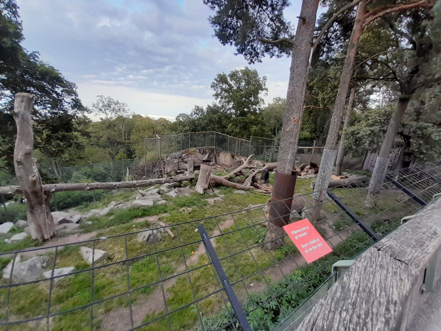 One off the two Eurasian Brown bear enclosure