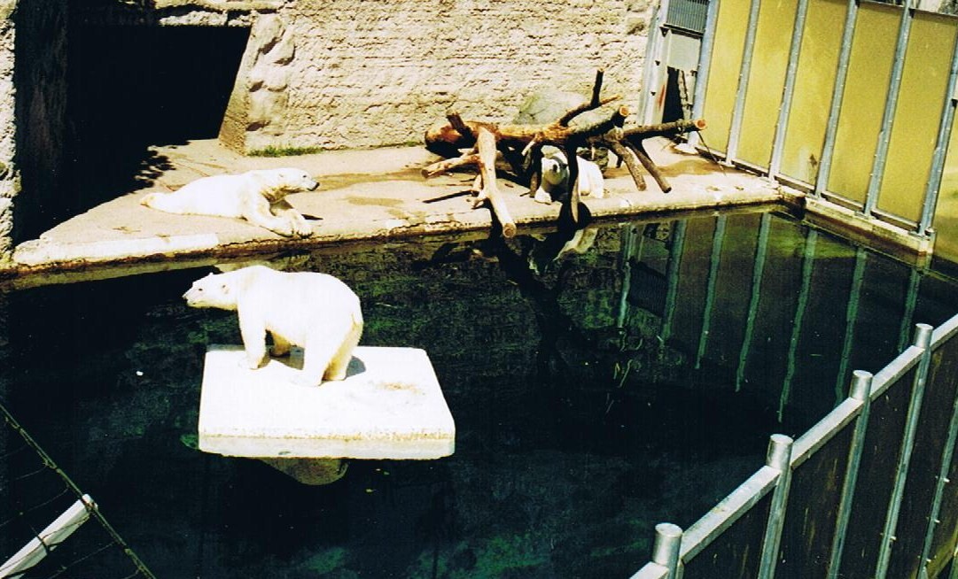 One part of the old Polar Bear exbith