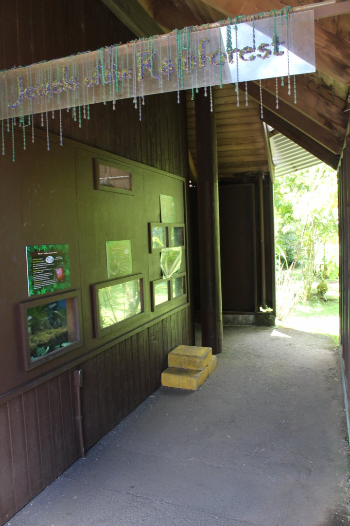 One Side of Reptile House