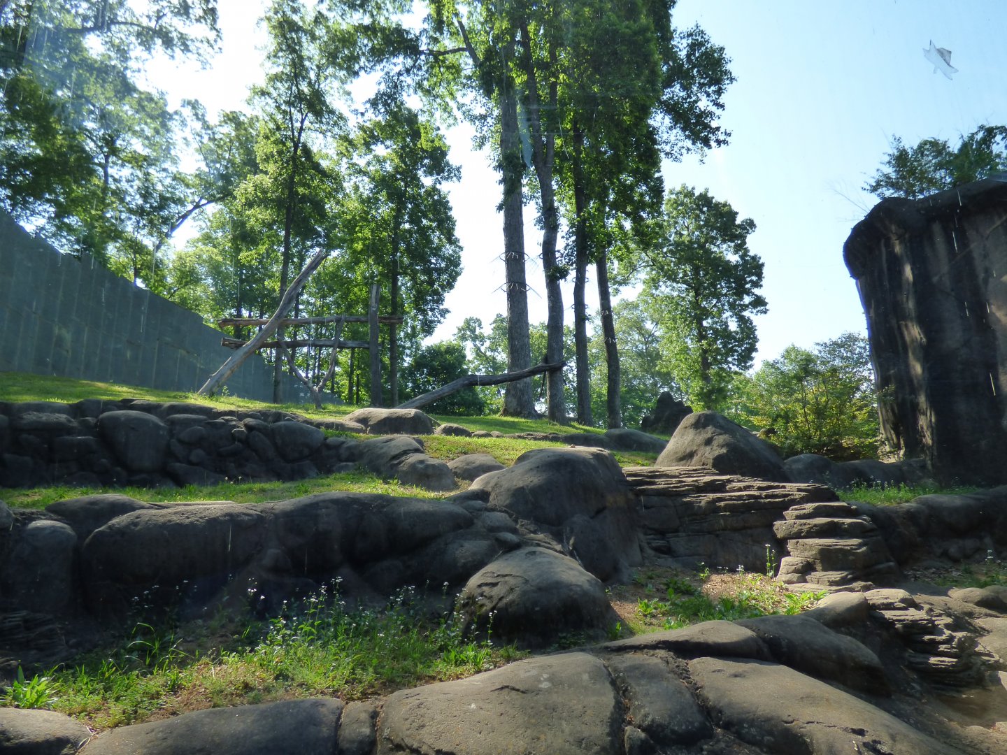 One side of the Chimp Exhibit - May 2018