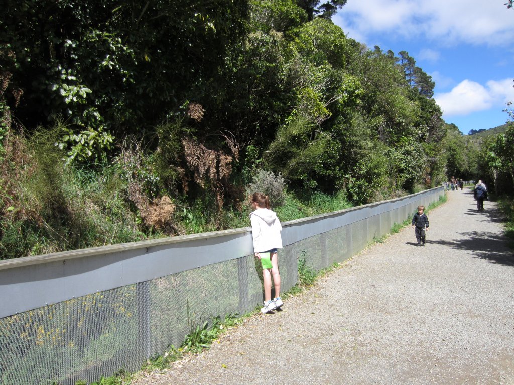 One side of the Tuatara enclosure