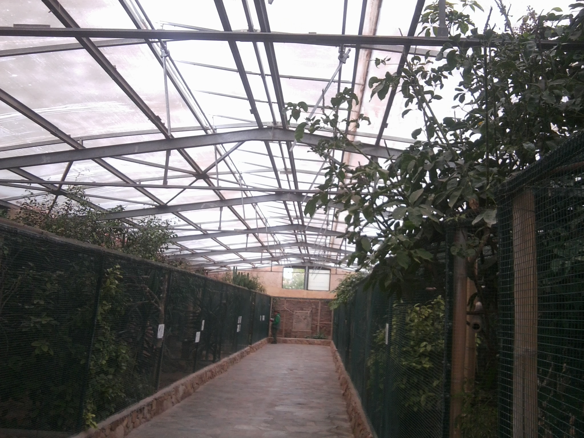 One tropical bird aviary