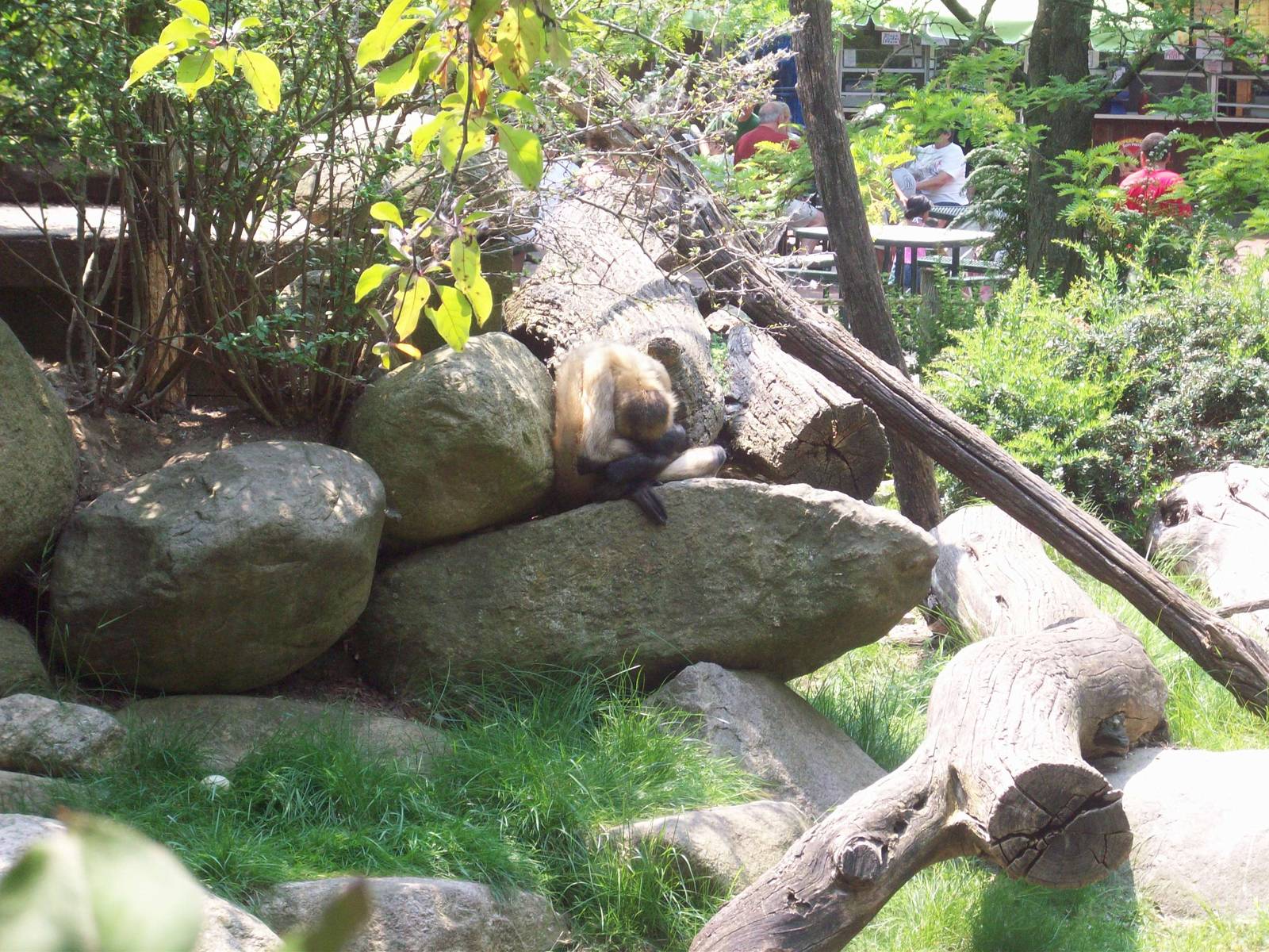 One, two, three...ready not here I come!