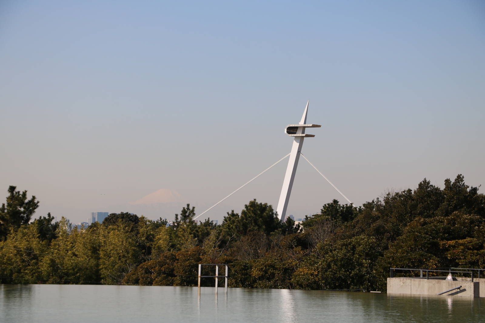 One view of Mt Fuji - Tokyo Sea Life Park, February 2016