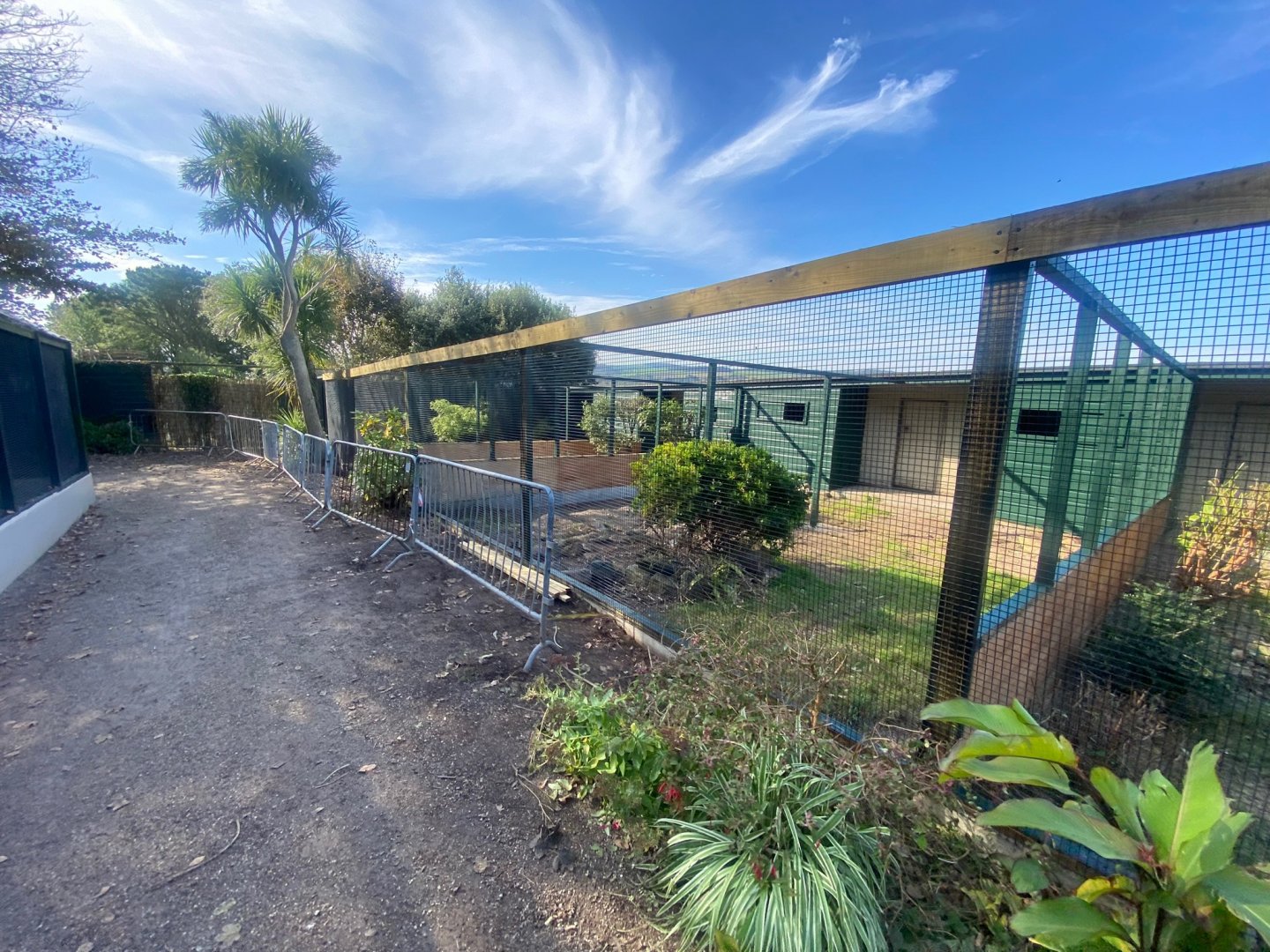 Ongoing aviary renovations 081023