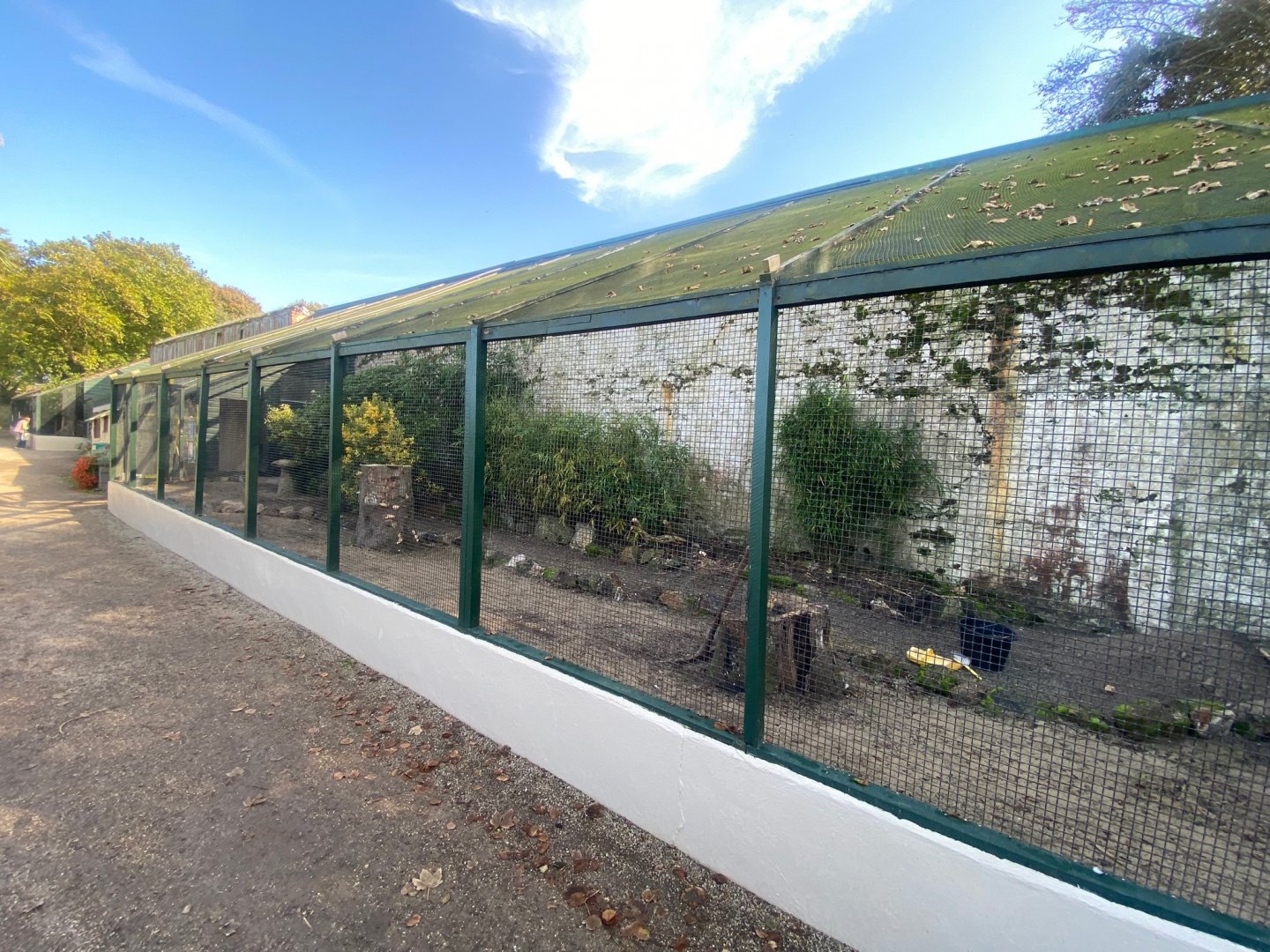 Ongoing aviary renovations 081023