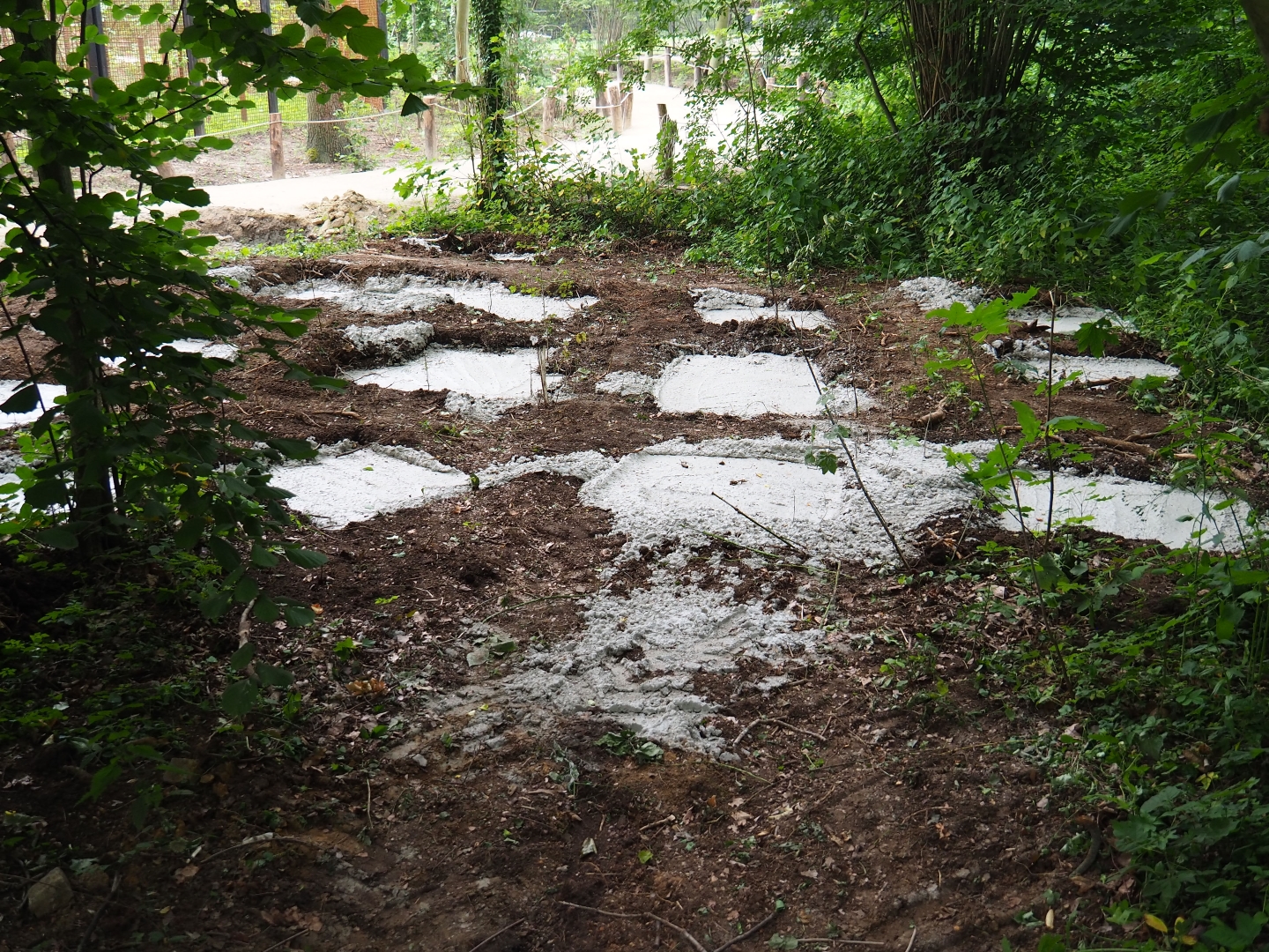 Ongoing construction near the new Barbary macaque exhibit - Slabs of concrete in the forest, 2019-06-26