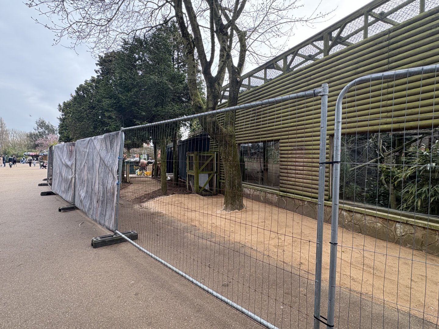 Ongoing Developments: Reptile House