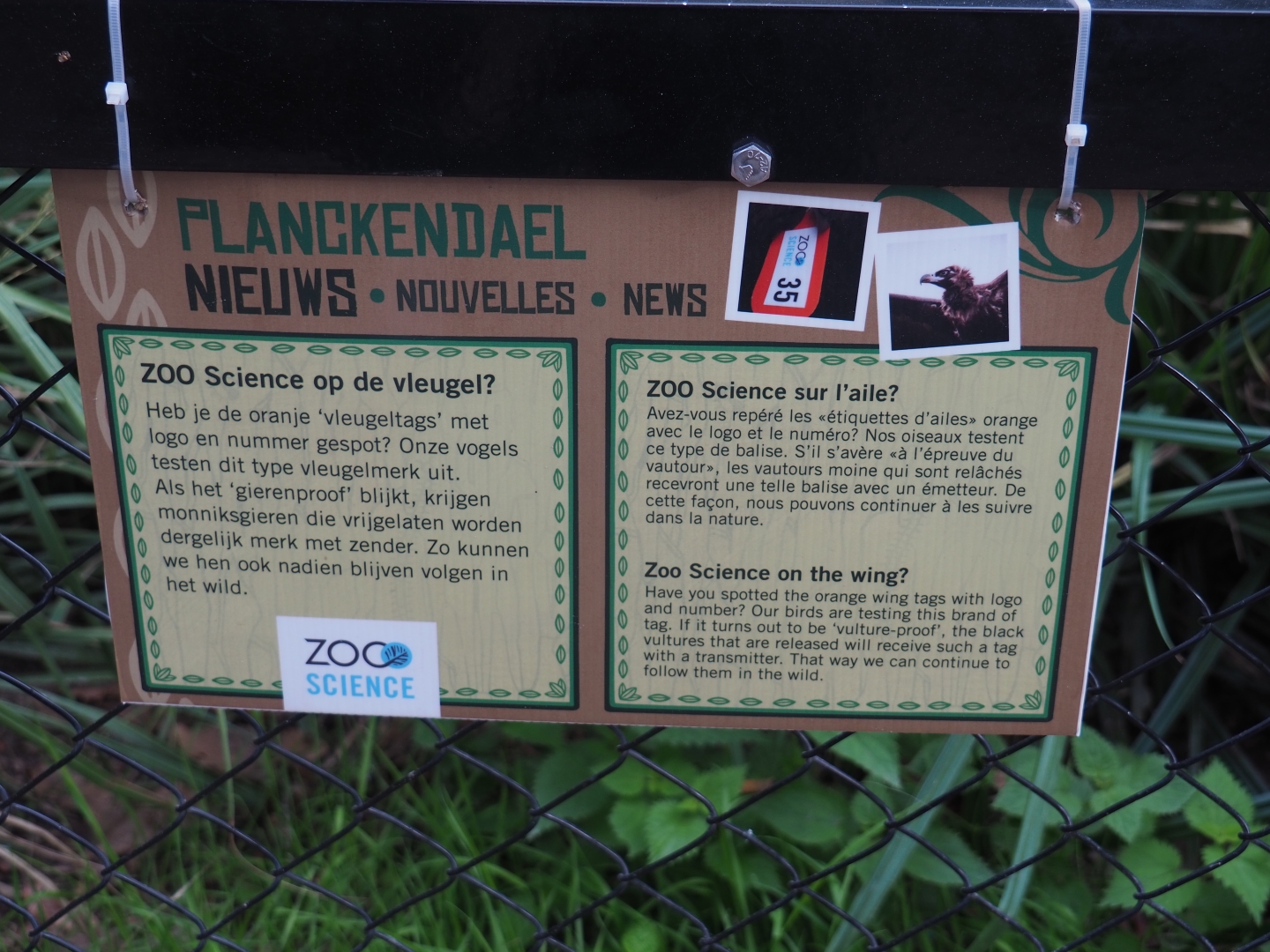 Ongoing vulture research sign