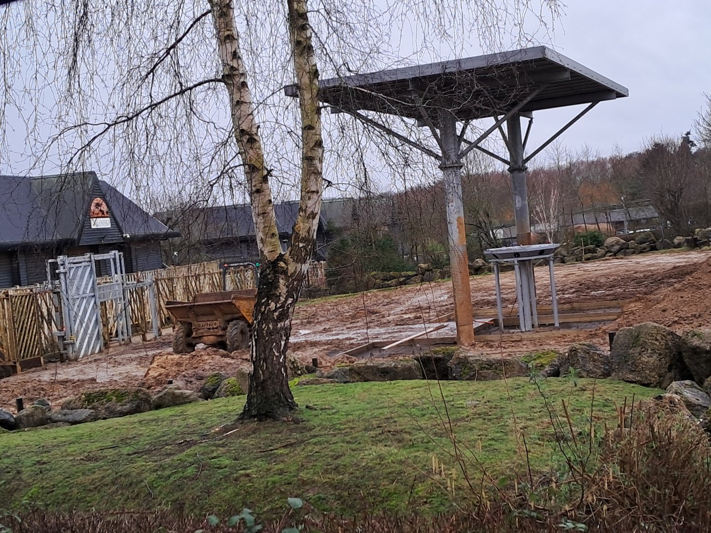 Ongoing work in the bull paddock at Elephant Kingdom- 22/2/2024