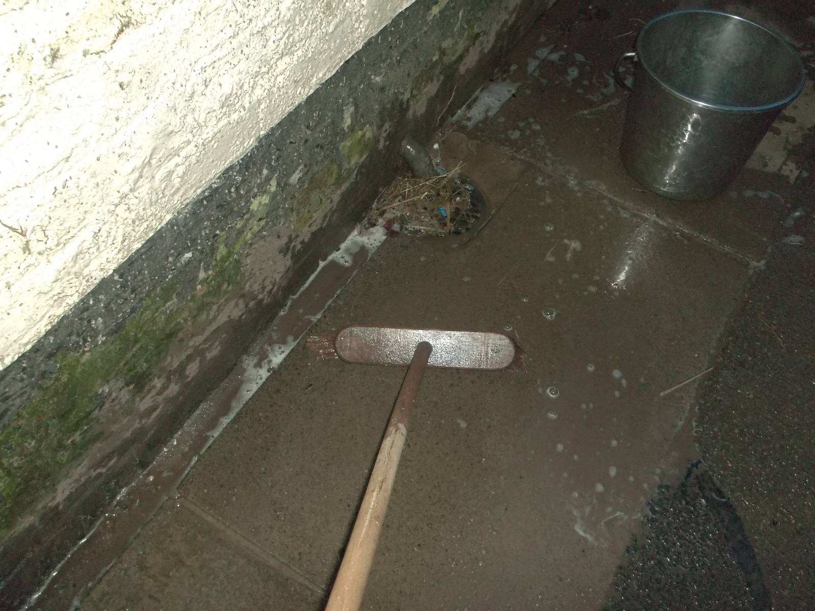 Ooh, that sound sends shivers down my spine; 26th December 2014