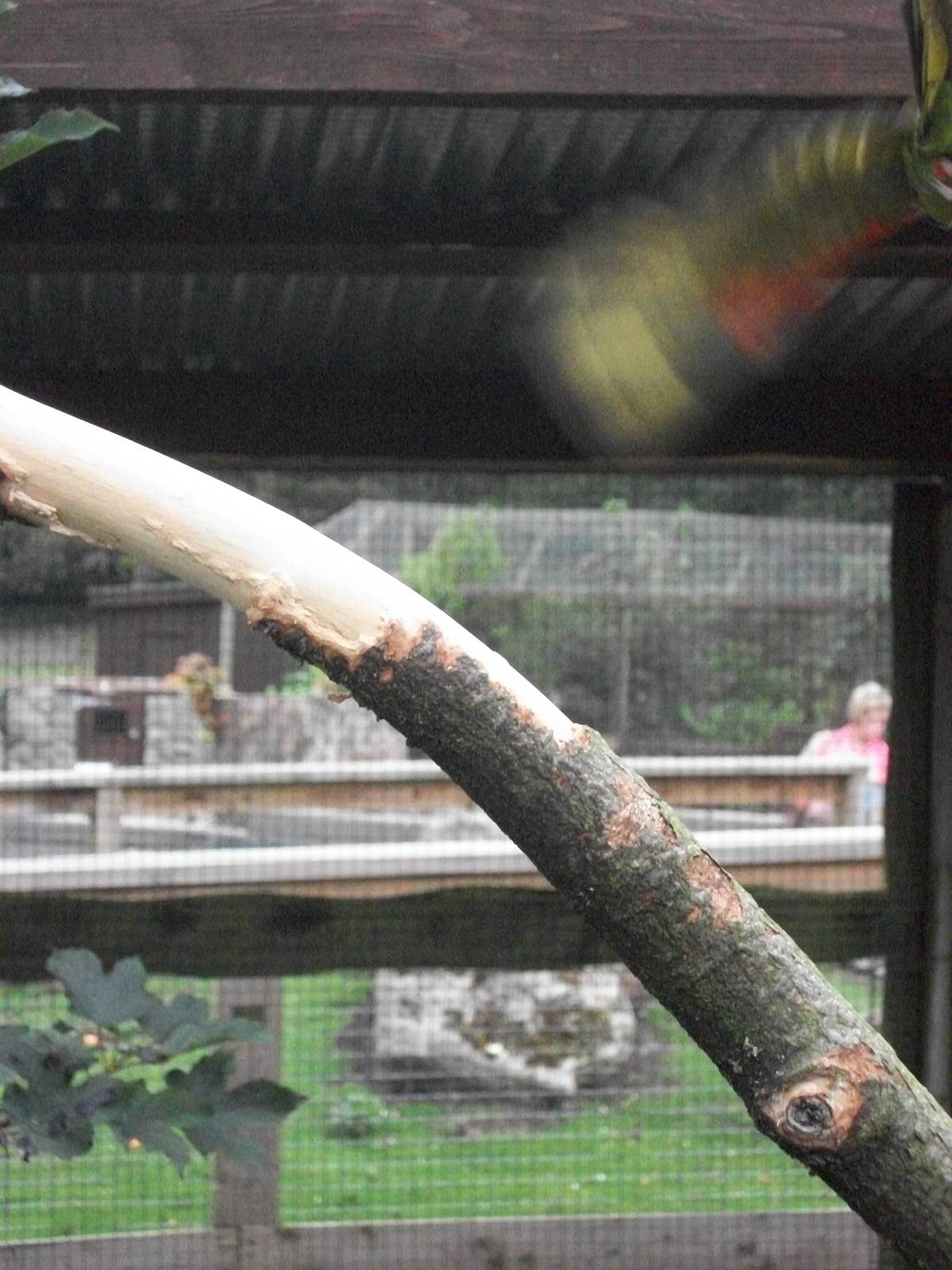 Oops, it has gone! 21st September 2014