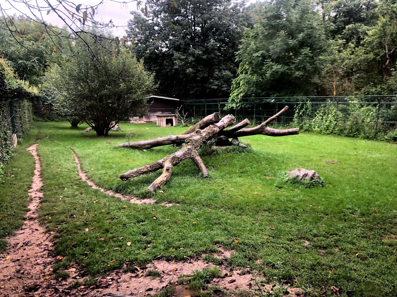 Opel Zoo- cheetah enclosure- 2021