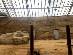 Opel Zoo- elephant indoor hall- 2021