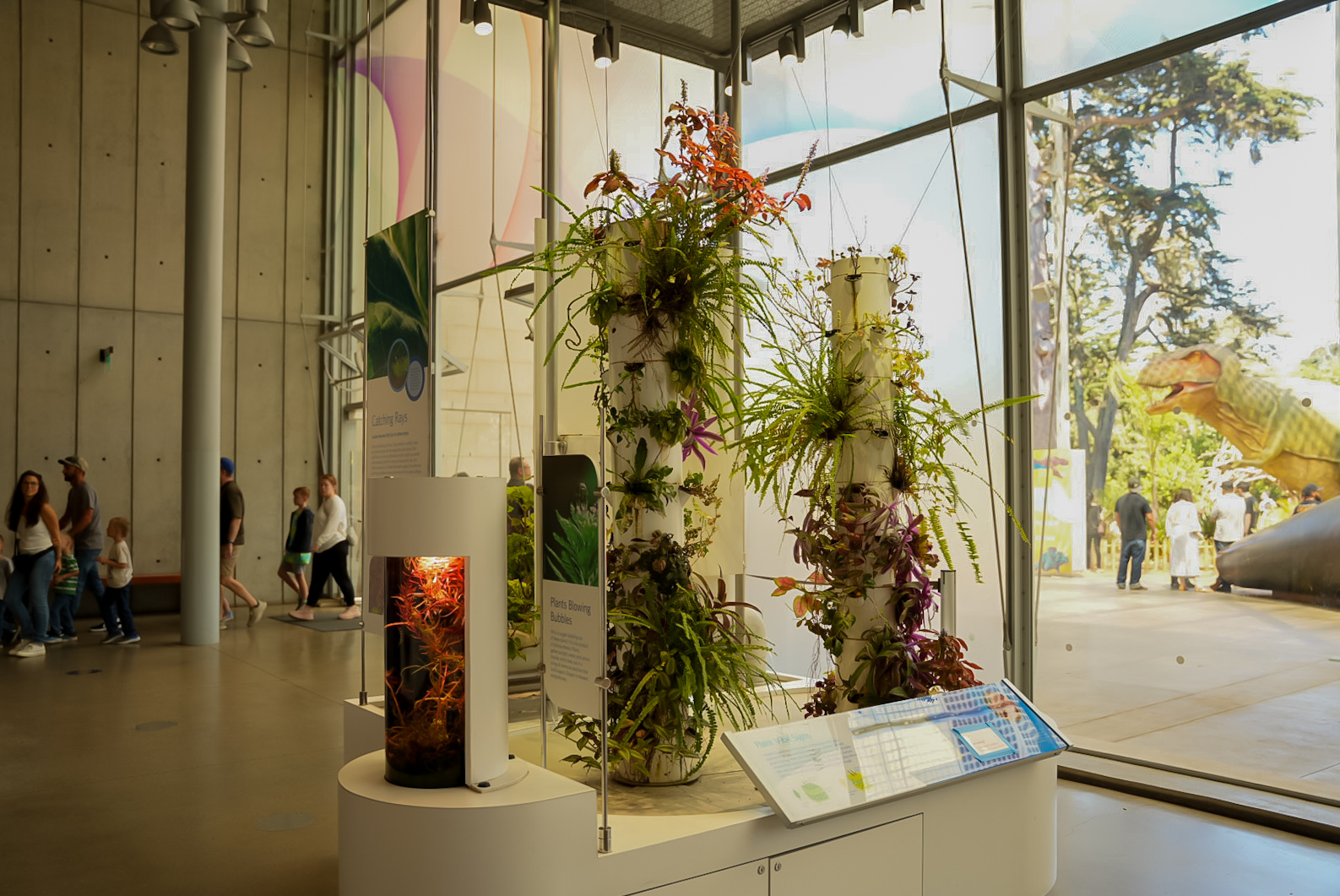 Open Air Plant exhibit (Color of Life)