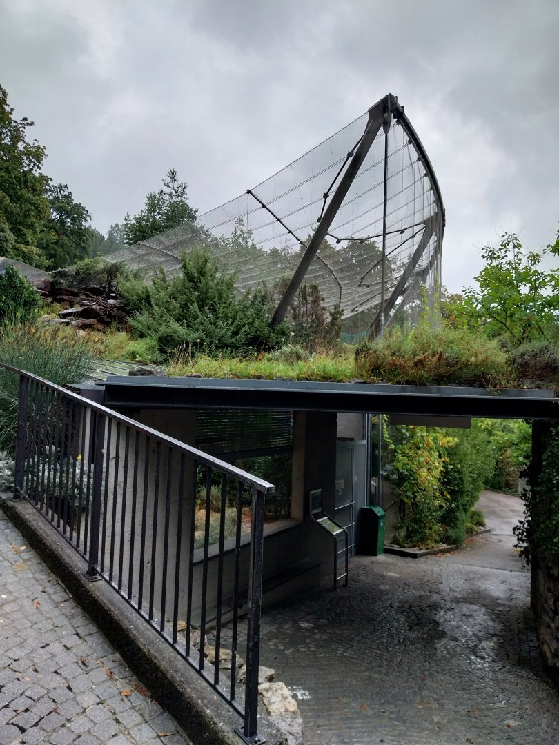 Open-air terrarium and Waldrapp aviary