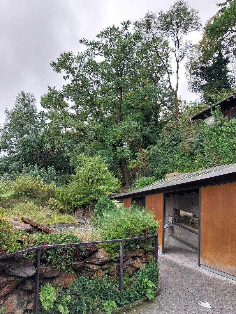 Open-air terrarium - General view