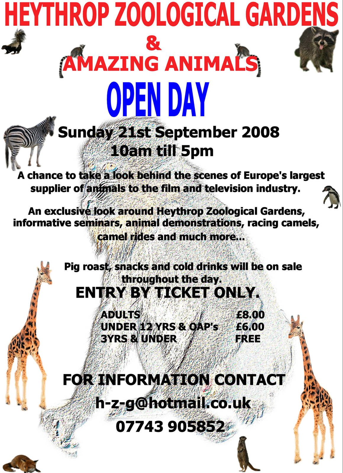 open day poster