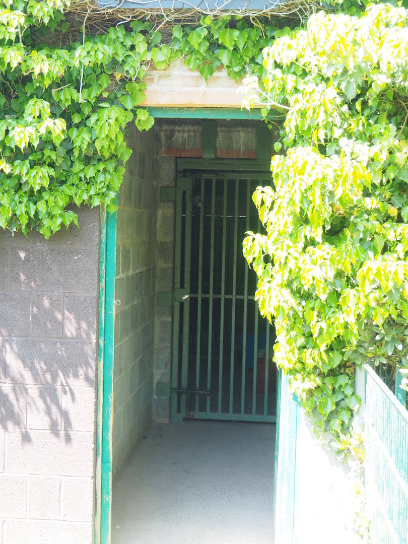 Open door of one of the cat holding buildings, 2023-05-19