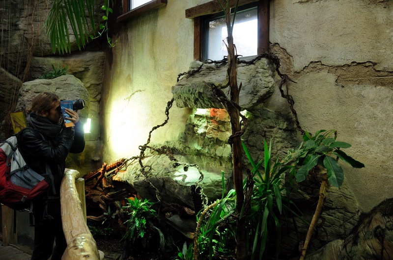 Open enclosure for Reptiles at Hamburg