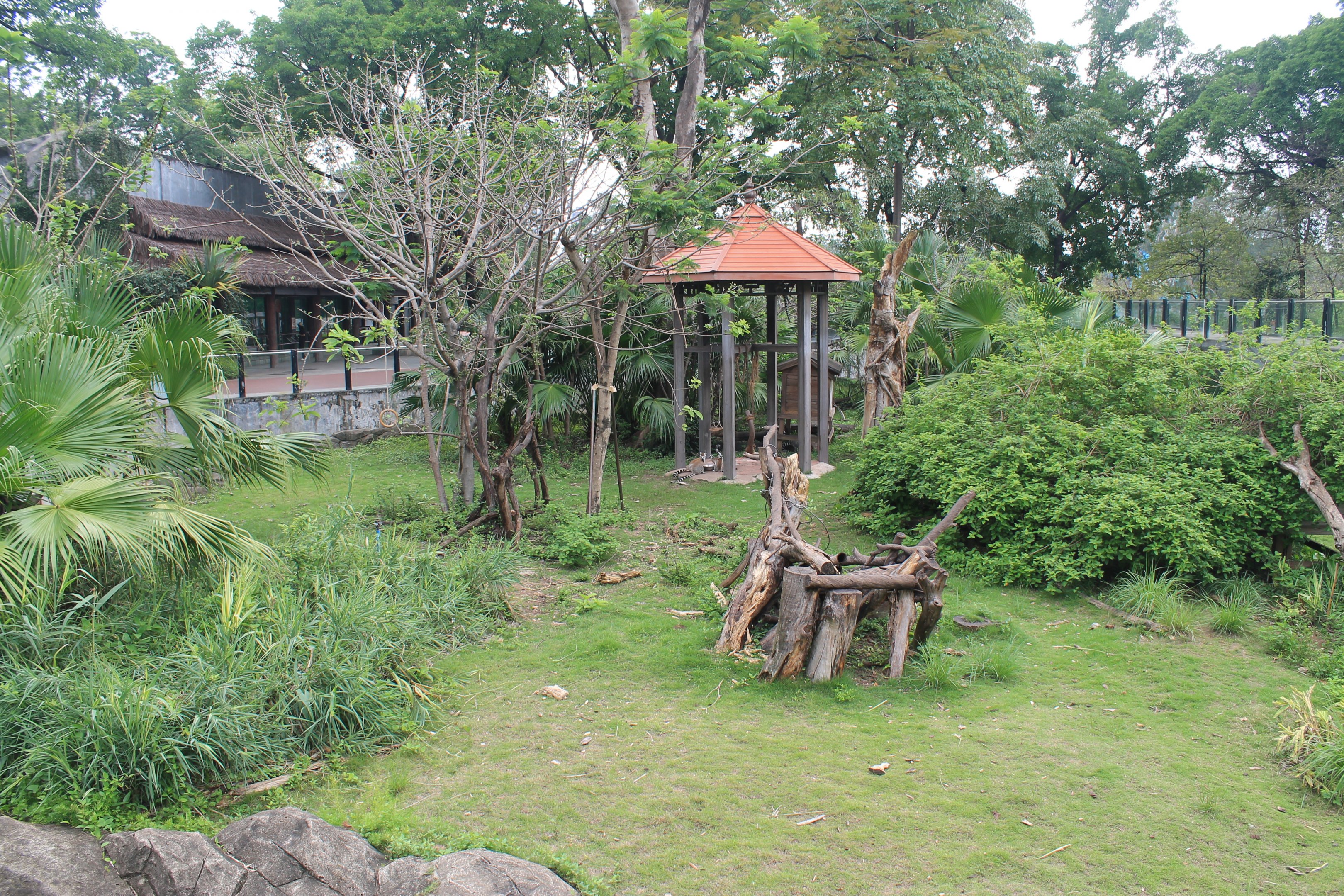 Open enclosure for Ring-tailed Lemurs (Lemur catta)