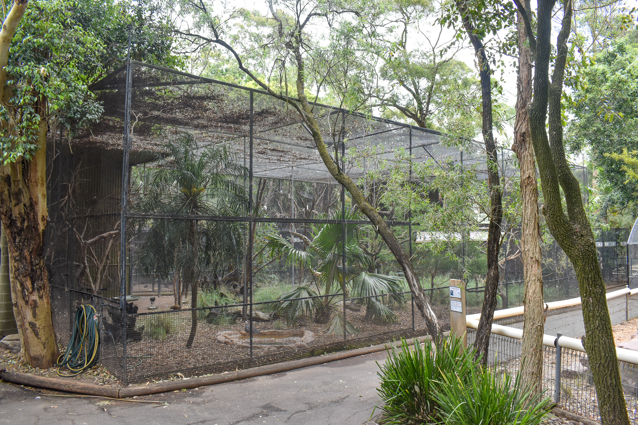 Open Forest Birds Aviary
