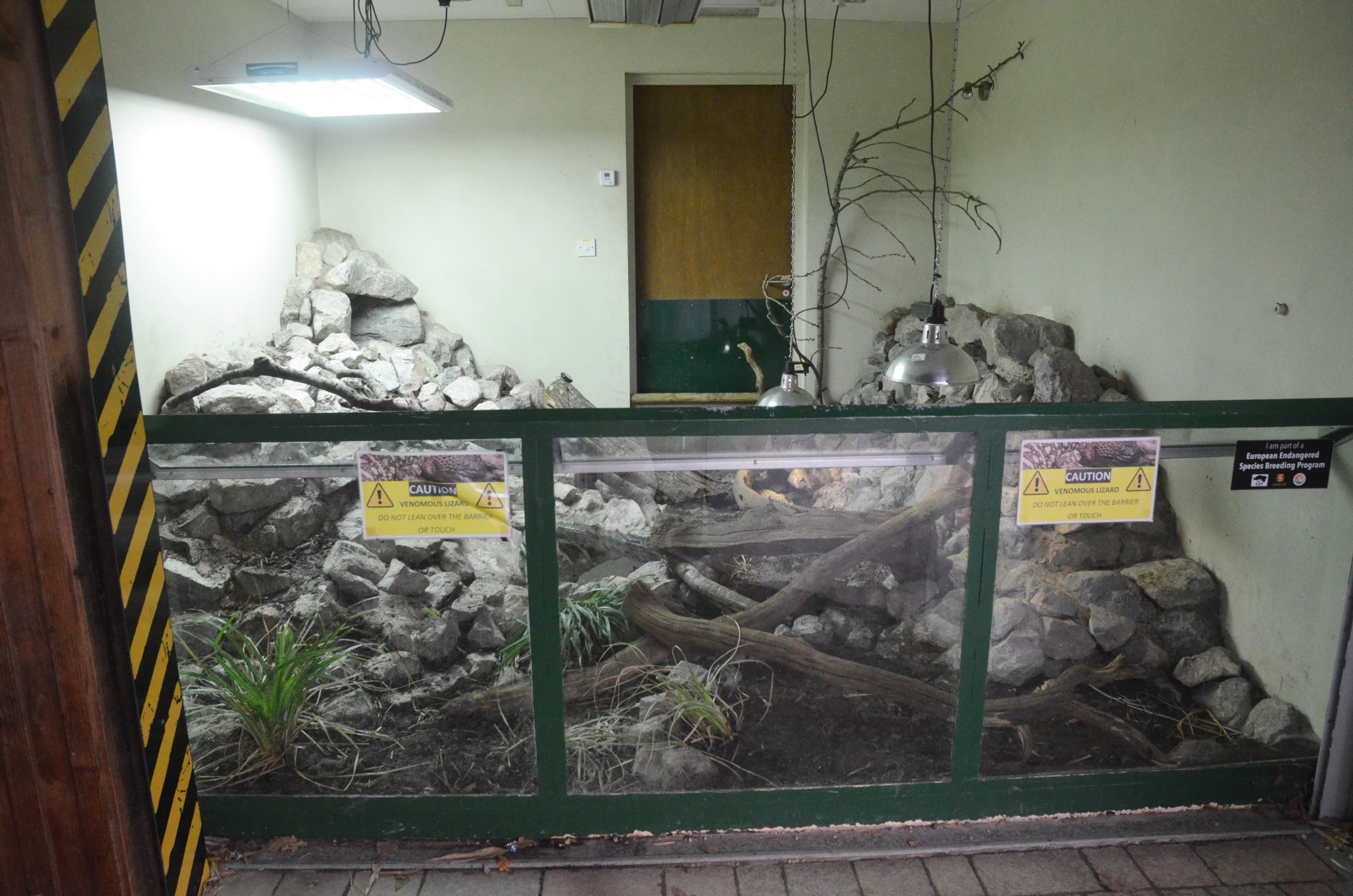 Open-fronted Beaded Lizard Enclosure at Longleat, 03/11/19
