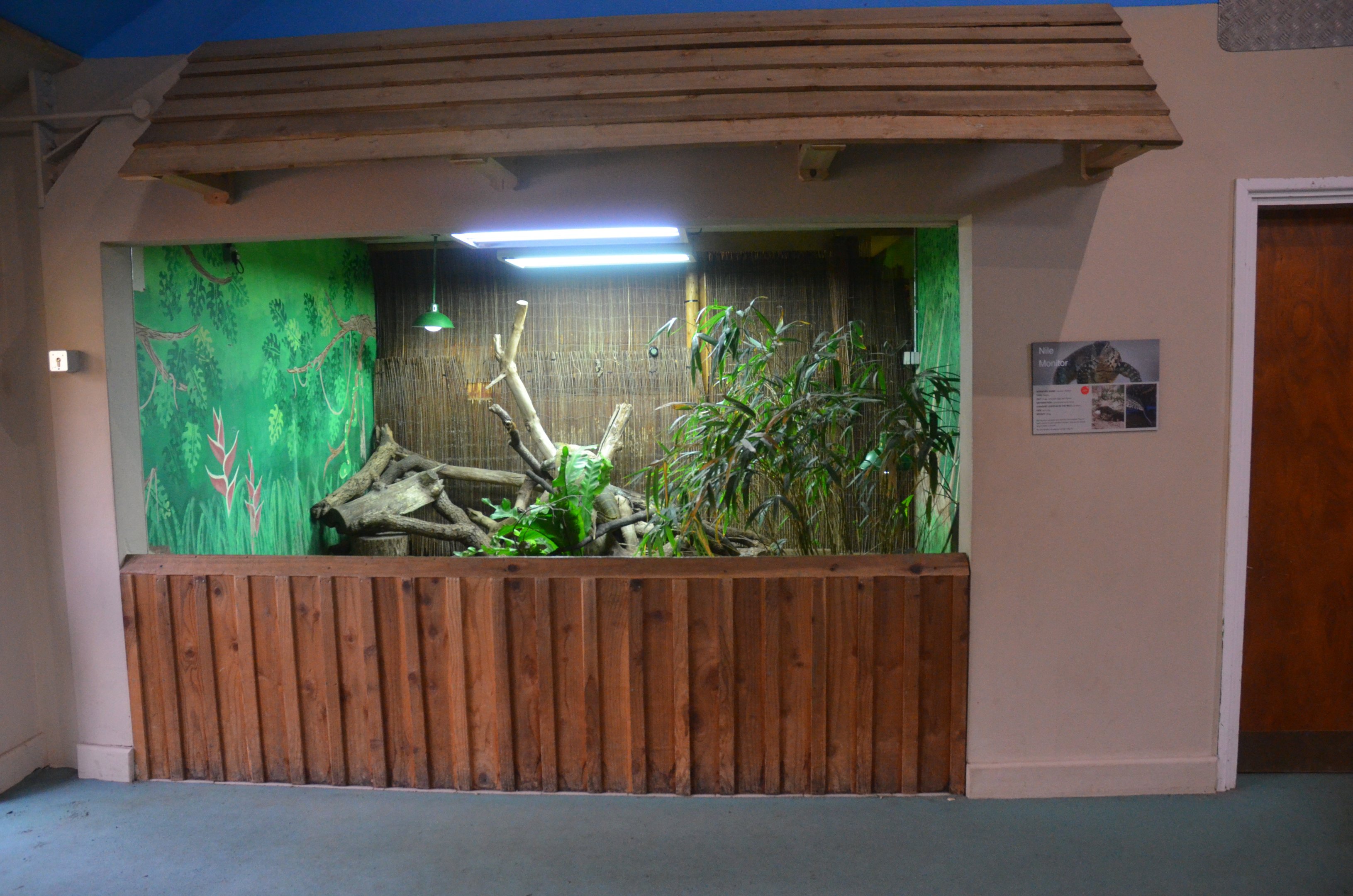 Open-fronted Nile Monitor Enclosure at Longleat, 03/11/19