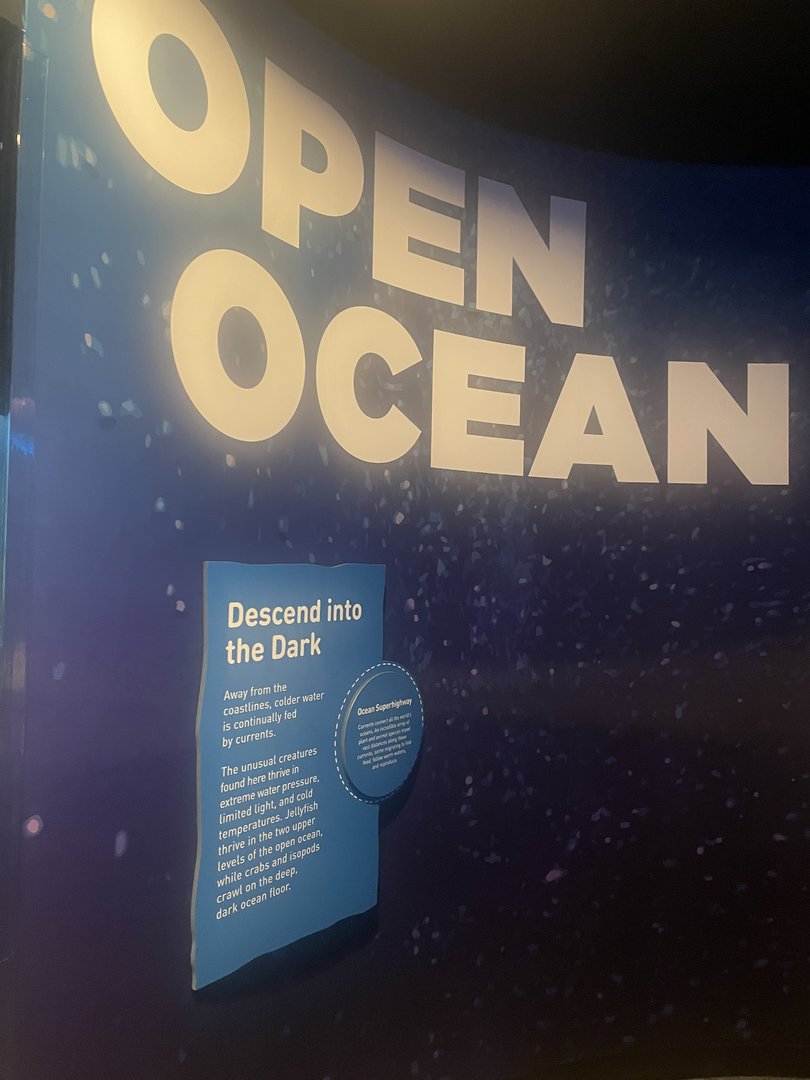 Open Ocean Artwork
